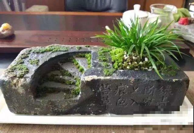 高价花盆扔一地，捡到手软，回家种花美炸了！