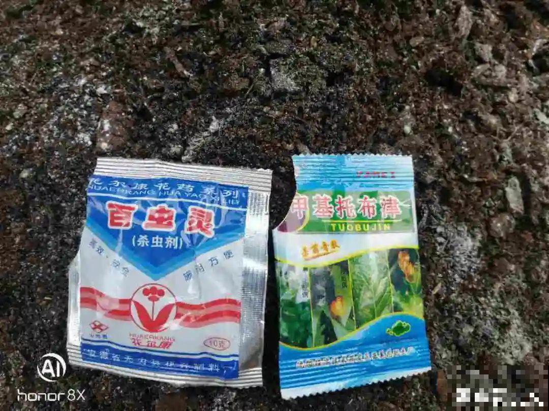 土里有虫子，1招杀干净，否则会传染！