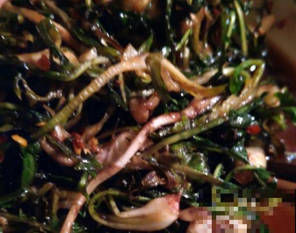 饭桌上不常见的野菜，吃过的人是少数，农村人才认识！