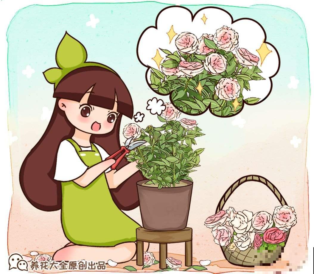 刚买回家的花，掉花苞，黄叶子，修剪一下还能活