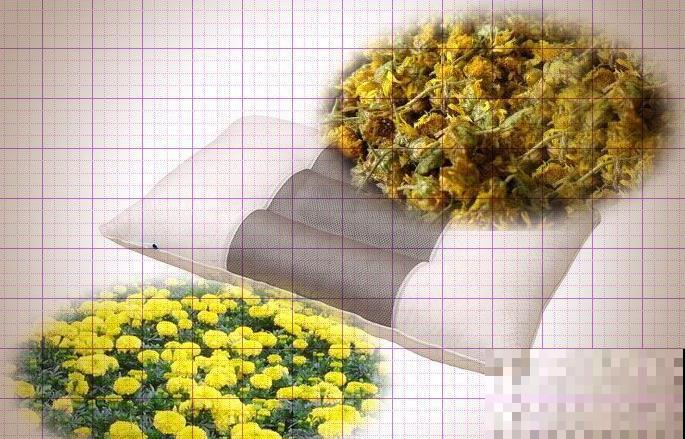 这些花对睡眠有好处，晒干后装枕头里，一觉睡到大天亮！