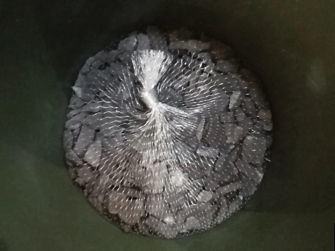 花盆里一定要放它,3年不换盆,照样年年开花! 花盆里一定要放它,3年不换盆,照样年年开花!