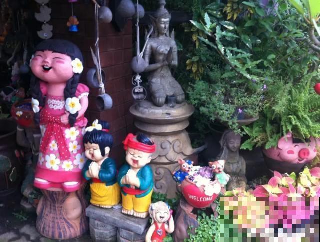 花盆里摆了它,更有趣、更新奇,邻居来了想搬走! 花盆里摆了它,更有趣、更新奇,邻居来了想搬走!