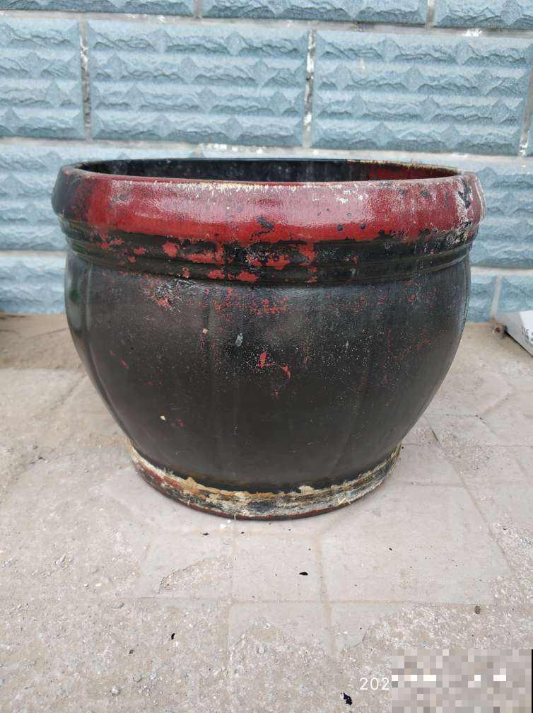 养花人见到路边4种东西，两眼放光，捡回家就是养花宝贝