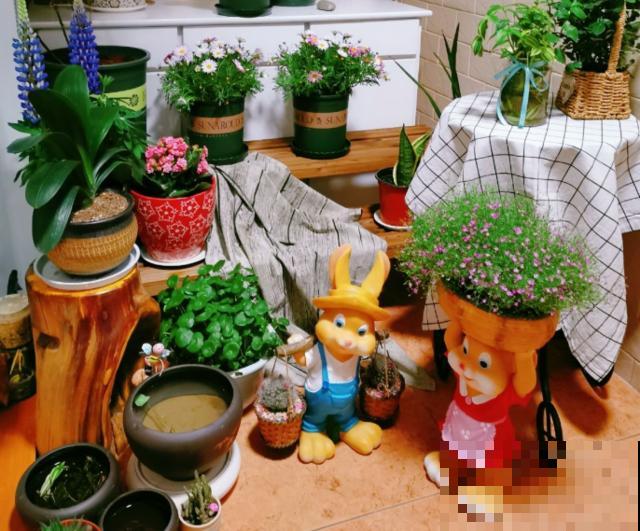 养花走火入魔，是种怎样的体验？