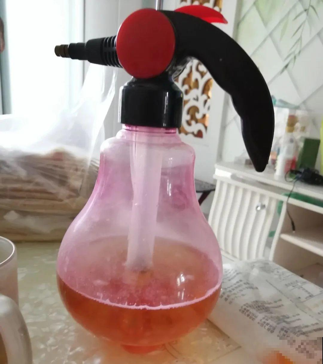 9种花真是老酒鬼，5天一小杯，叶子绿得像打蜡！