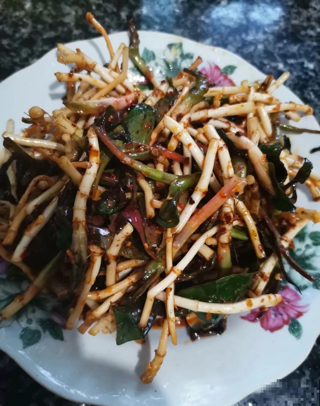 8种花夏天必须养,掐一把炒菜特别香,清热去火不中暑! 8种花夏天必须养,掐一把炒菜特别香,清热去火不中暑!