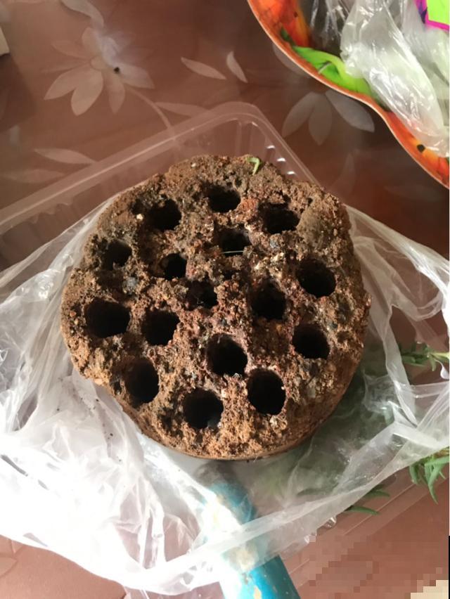 5种颗粒掺土里,养花不烂根,透水透气效果好 5种颗粒掺土里,养花不烂根,透水透气效果好