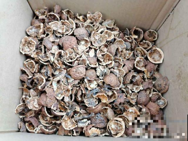 5种颗粒掺土里,养花不烂根,透水透气效果好 5种颗粒掺土里,养花不烂根,透水透气效果好