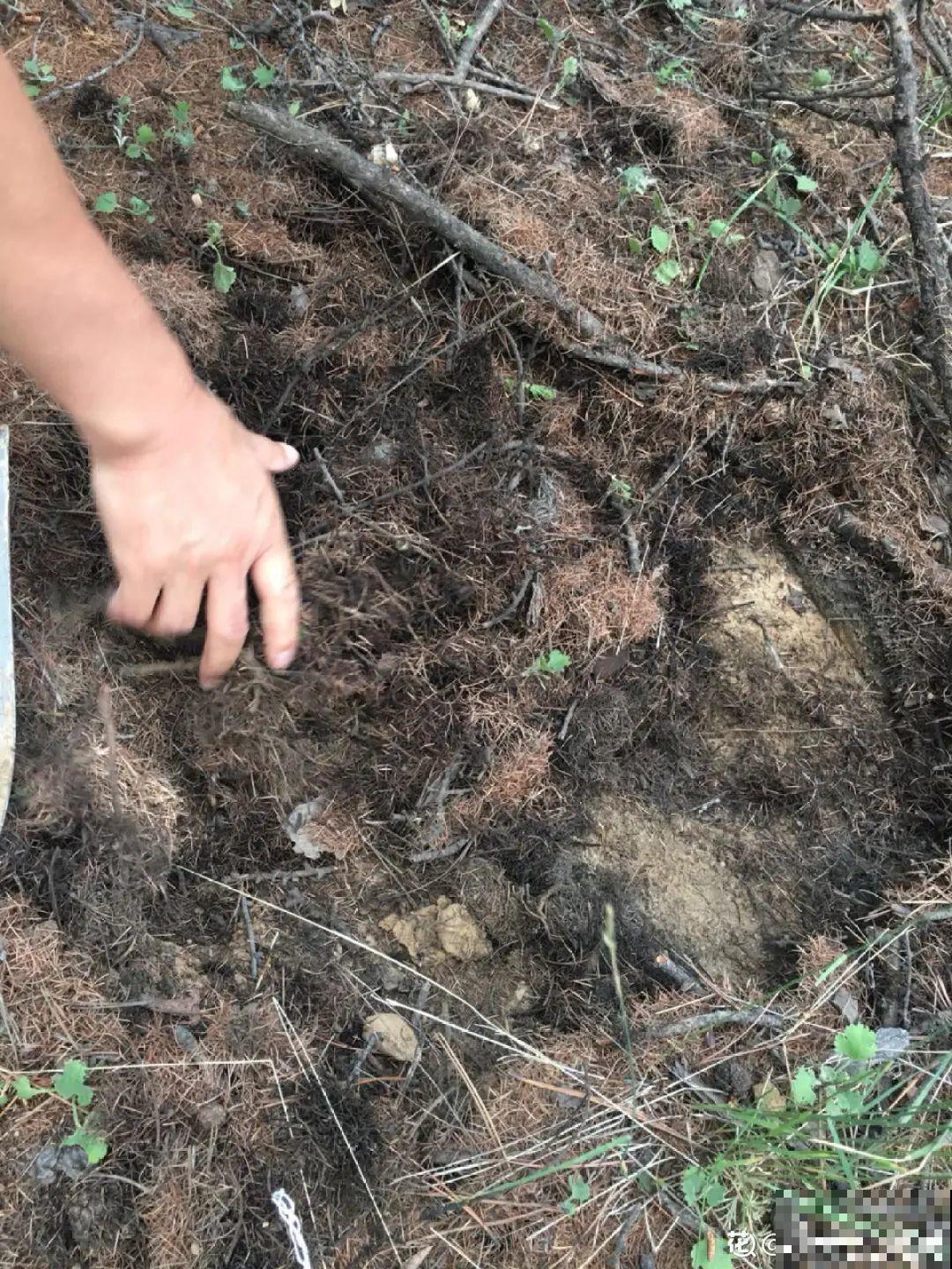 夏天养花,这3种事千万别做,否则黄叶又烂根! 夏天养花,这3种事千万别做,否则黄叶又烂根!