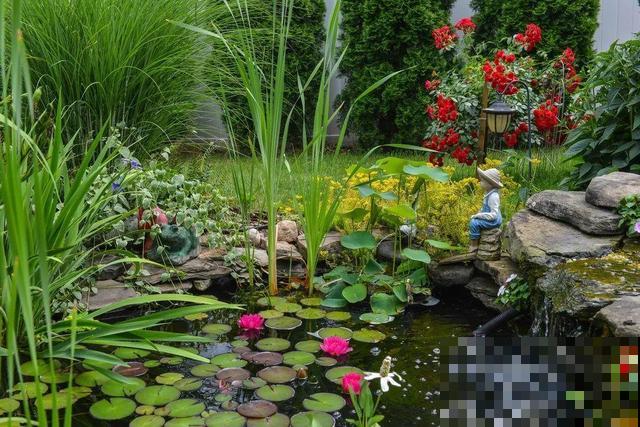 9种花可以预测天气，一开花就说明要下雨了！