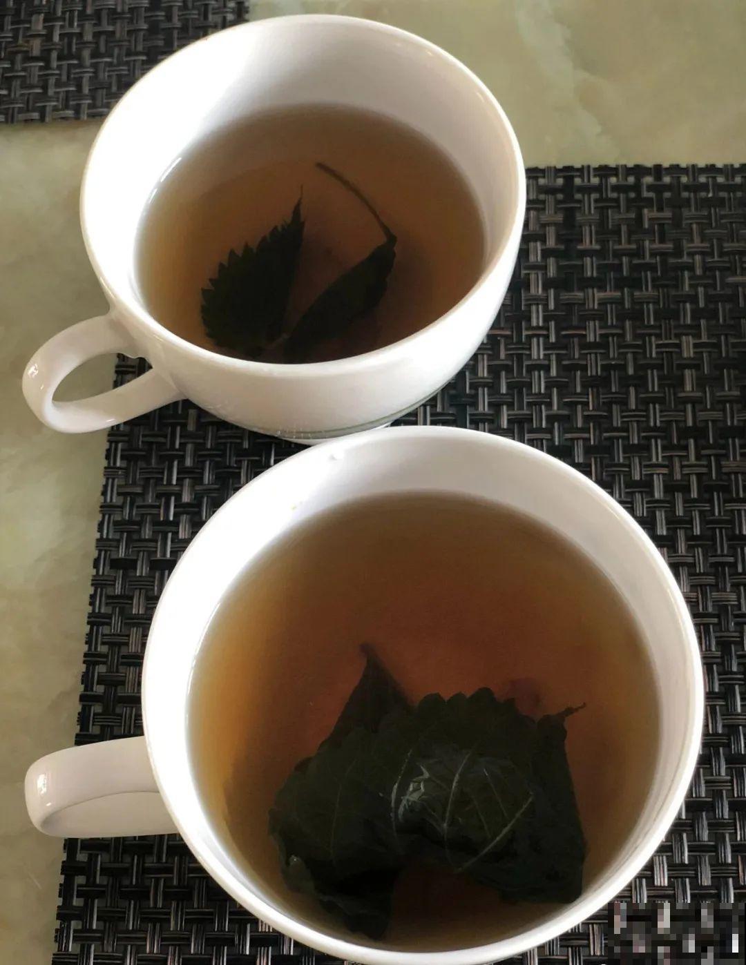 8种花夏天必须养,掐一把炒菜特别香,清热去火不中暑! 8种花夏天必须养,掐一把炒菜特别香,清热去火不中暑!