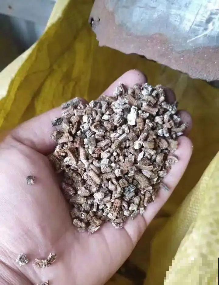 7种不起眼的小东西，拿来养花，根长得特壮