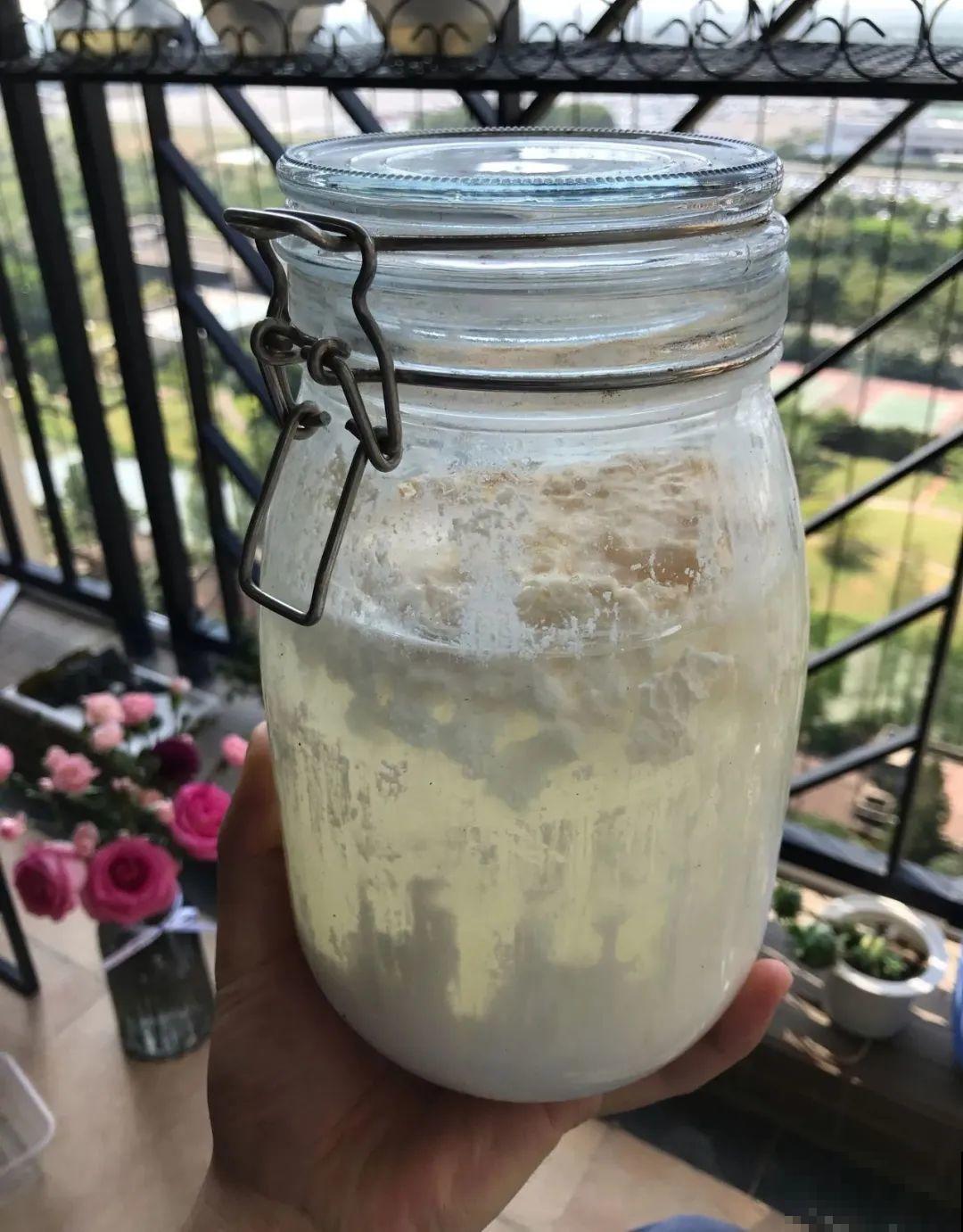 9种花真是老酒鬼，5天一小杯，叶子绿得像打蜡！