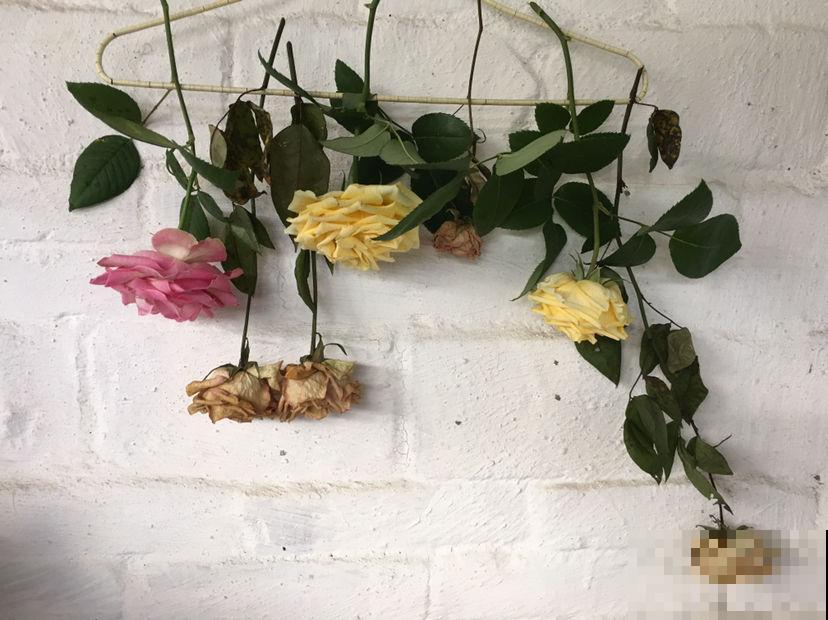 快死的鲜花别急着扔,绳子一绑倒挂起来,两周变成文艺干花 快死的鲜花别急着扔,绳子一绑倒挂起来,两周变成文艺干花