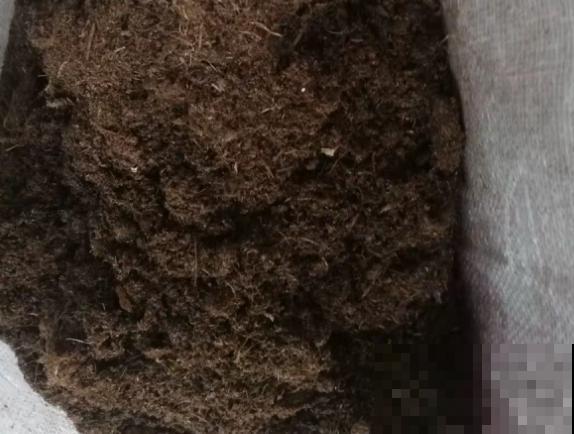 10款多肉配土方案，总有一款适合你，轻松养出胖墩子！