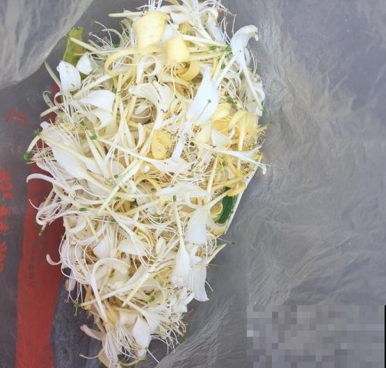 老中医都爱养的5种花，花朵泡茶特养身，越喝越健康！