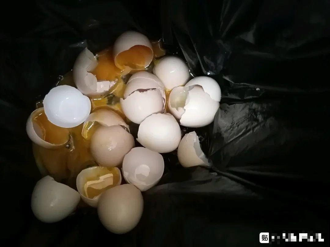 9种花真是老酒鬼，5天一小杯，叶子绿得像打蜡！