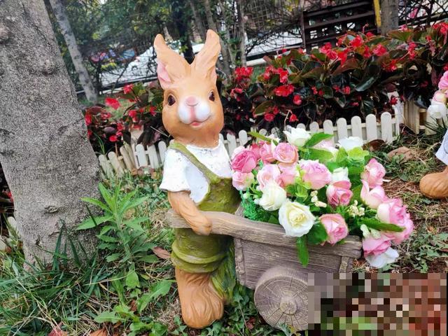花盆里摆了它,更有趣、更新奇,邻居来了想搬走! 花盆里摆了它,更有趣、更新奇,邻居来了想搬走!