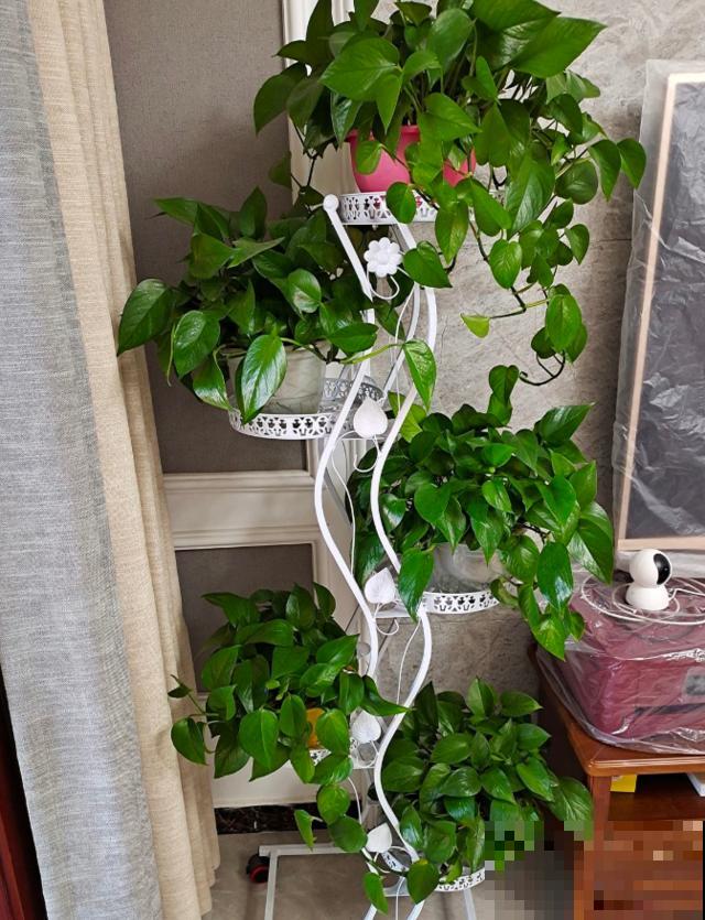 你喜欢什么花,就是什么性格的人,都进来看看吧! 你喜欢什么花,就是什么性格的人,都进来看看吧!
