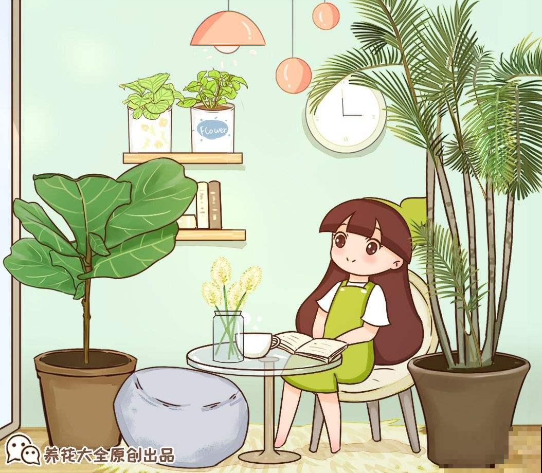 9种腔调十足的花，气质满满，养一盆家里格调提八度