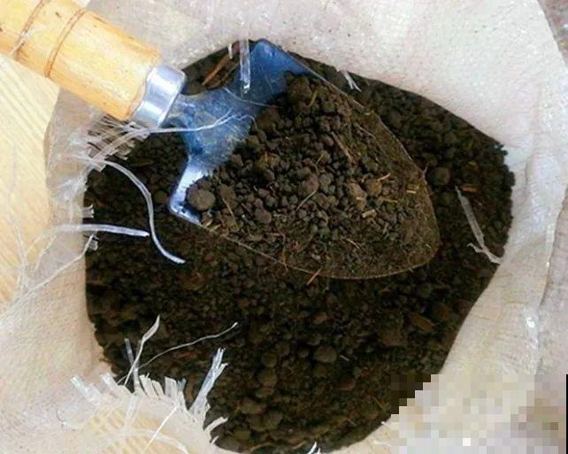 4种土,扔了也别养花,生虫烂根就是它! 4种土,扔了也别养花,生虫烂根就是它!