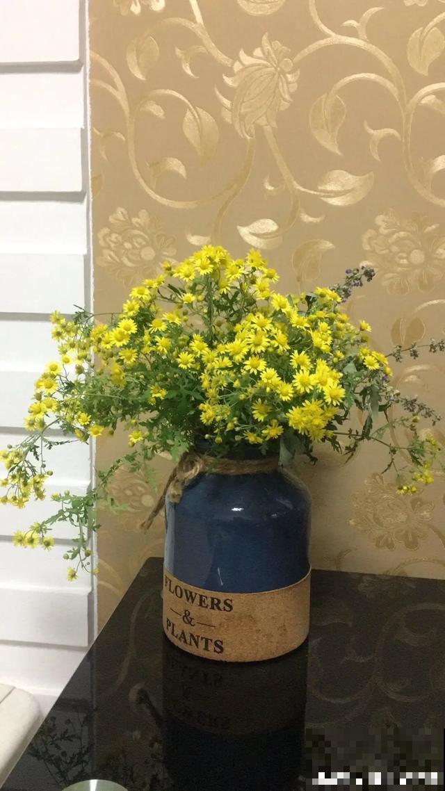 20块钱1把的花,城里人抢着要,农村特常见,别再花冤枉钱了! 20块钱1把的花,城里人抢着要,农村特常见,别再花冤枉钱了!