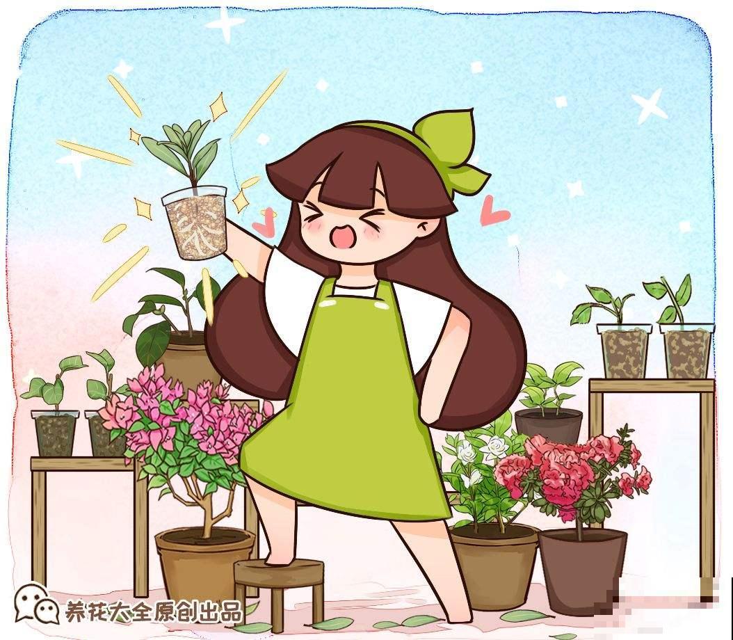 夏天扦插4种花，生根特容易，新手也能插活