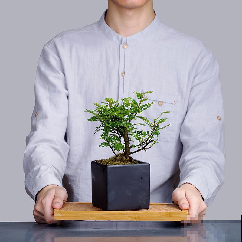 7种花，就得小盆养，盆越小水越少，长得更快