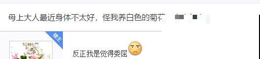 花友种在家门口多年的花,全被人折了,因为不吉利? 花友种在家门口多年的花,全被人折了,因为不吉利?