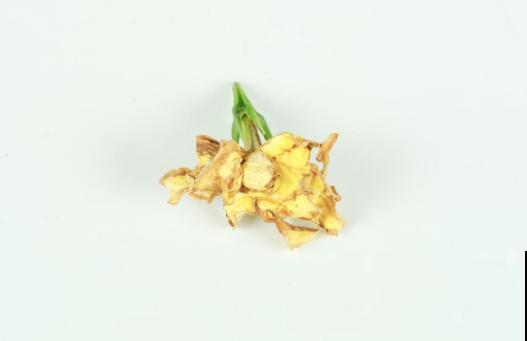 家里的花开一次,就再也不开了,赶紧施点“催花肥”! 家里的花开一次,就再也不开了,赶紧施点“催花肥”!