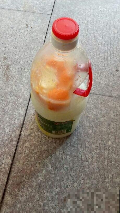 家里3种废水，半个月给绿萝喝一勺，叶子绿得直滴油