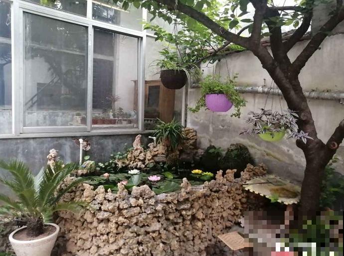 老人常说，这5种树，不能种在院子里，为啥？