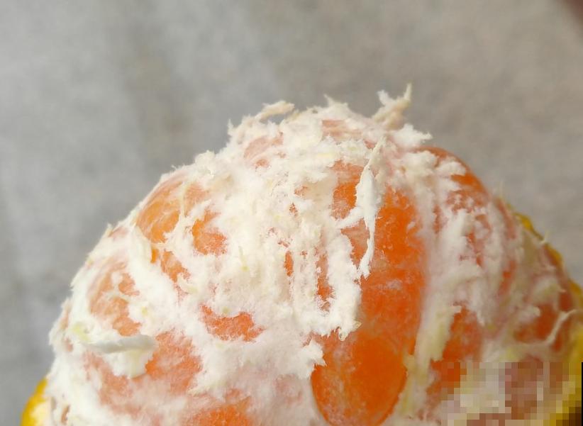 16个植物冷知识,第一次听说,太神奇了! 16个植物冷知识,第一次听说,太神奇了!