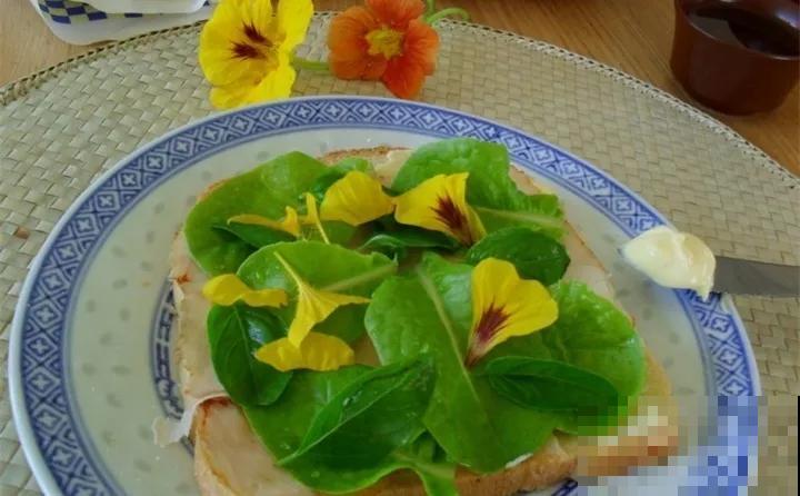 8种花，掐个叶子拌凉菜，越吃越养人
