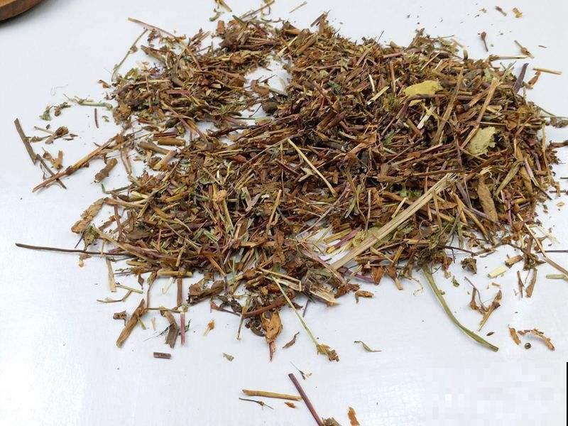 平平无奇的辣蓼草,作用多到你惊讶,农村都拿它当宝! 平平无奇的辣蓼草,作用多到你惊讶,农村都拿它当宝!
