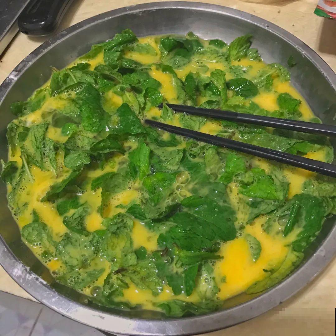 8种花夏天必须养,掐一把炒菜特别香,清热去火不中暑! 8种花夏天必须养,掐一把炒菜特别香,清热去火不中暑!