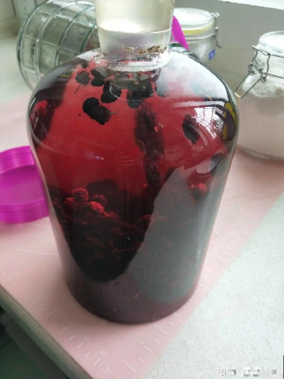 家里养棵桑葚，夏天结果满树都是，咬一口甘甜美味！