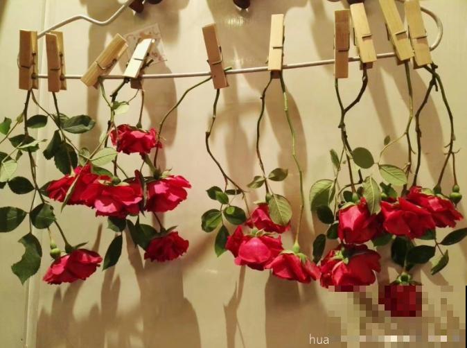 带花泥的花束,买回家这么养,看个3年没问题! 带花泥的花束,买回家这么养,看个3年没问题!