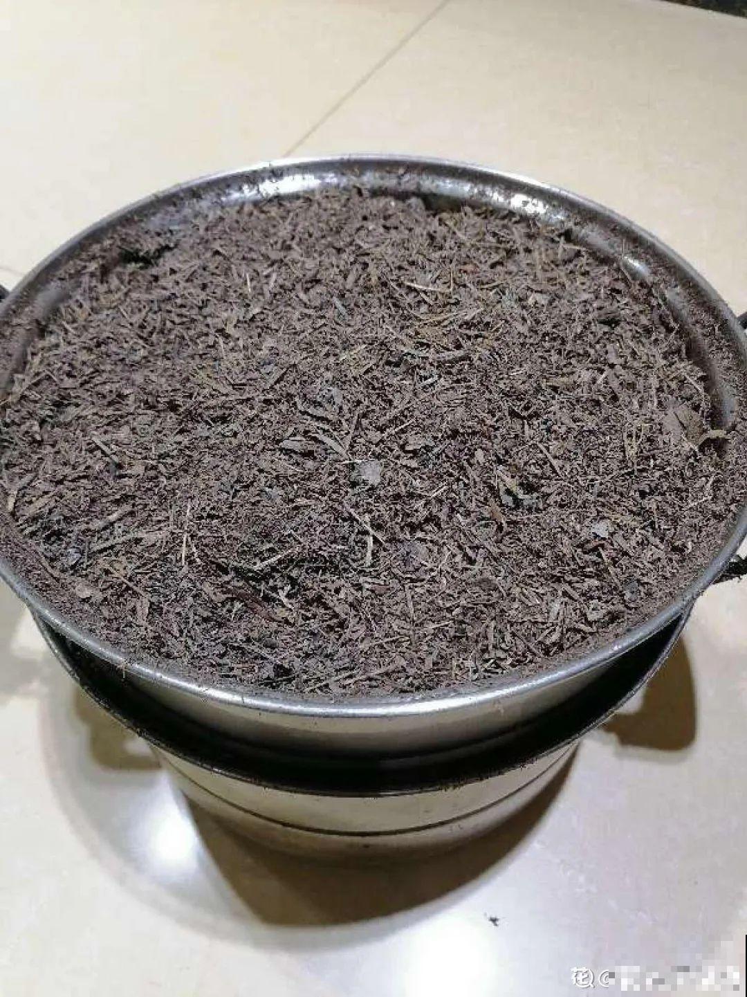 土里有虫子，1招杀干净，否则会传染！