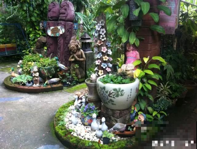 花盆里摆了它,更有趣、更新奇,邻居来了想搬走! 花盆里摆了它,更有趣、更新奇,邻居来了想搬走!