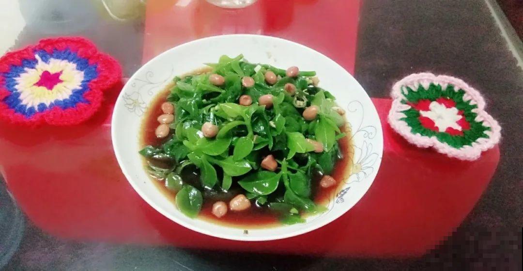 8种花夏天必须养,掐一把炒菜特别香,清热去火不中暑! 8种花夏天必须养,掐一把炒菜特别香,清热去火不中暑!