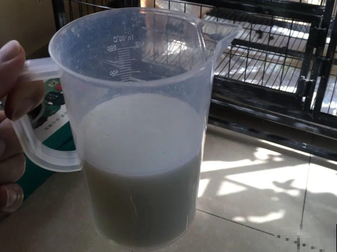 自制杀菌水、杀虫水，3天给花喷一次，虫病全扫光！