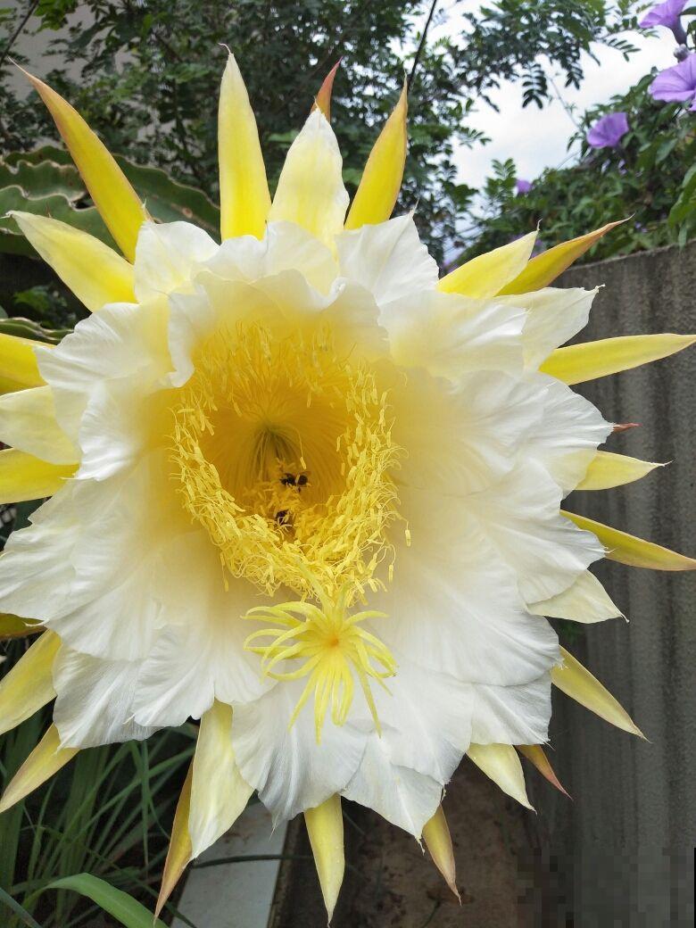 夏天就得多吃瓜,清热解毒还消暑,挑到好瓜最重要 夏天就得多吃瓜,清热解毒还消暑,挑到好瓜最重要