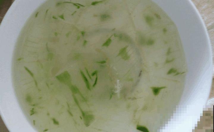 家里养盆芦荟，净化空气、消炎杀菌，养人养身心
