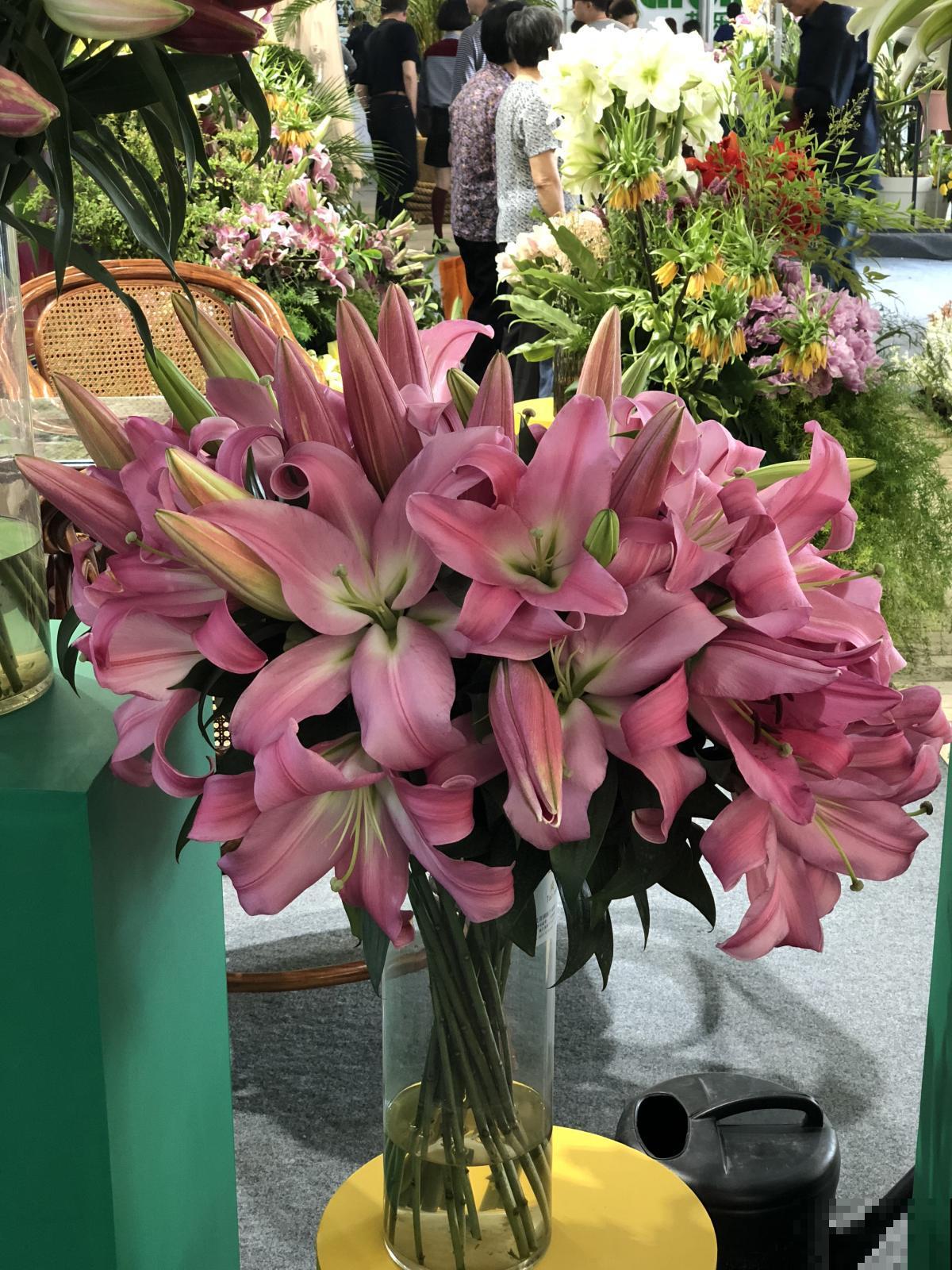 快死的鲜花别急着扔,绳子一绑倒挂起来,两周变成文艺干花 快死的鲜花别急着扔,绳子一绑倒挂起来,两周变成文艺干花
