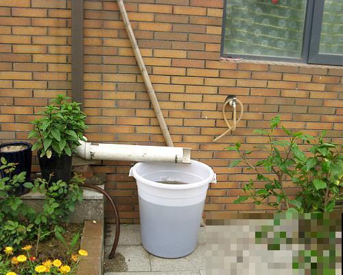 浇花用水不能乱用，水不处理浇花等于白浇！