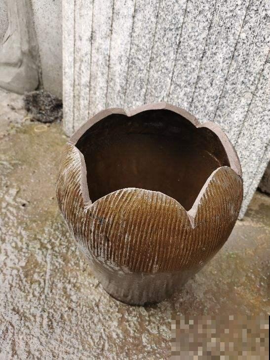 养花人见到路边4种东西，两眼放光，捡回家就是养花宝贝