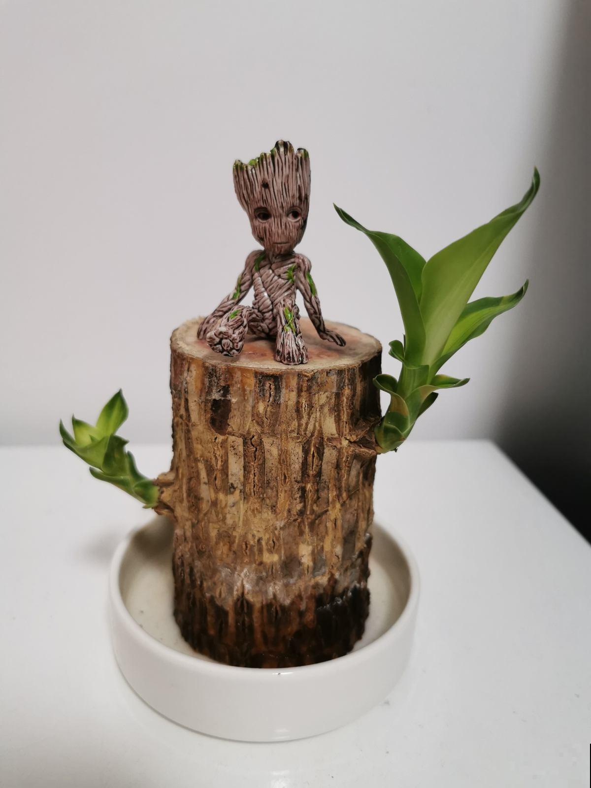 龟背竹净化空气效果好,吸收甲醛释放氧气,养10盆都不嫌多 龟背竹净化空气效果好,吸收甲醛释放氧气,养10盆都不嫌多