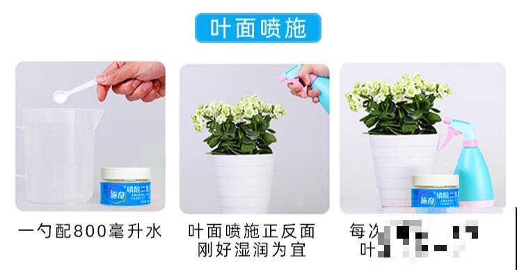 磷酸二氢钾是好东西,花黄叶掉苞,喷一喷立马变好 磷酸二氢钾是好东西,花黄叶掉苞,喷一喷立马变好